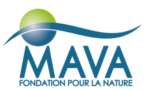 logo mava foundation